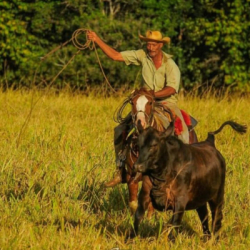 Antonio Fernandes da Silva